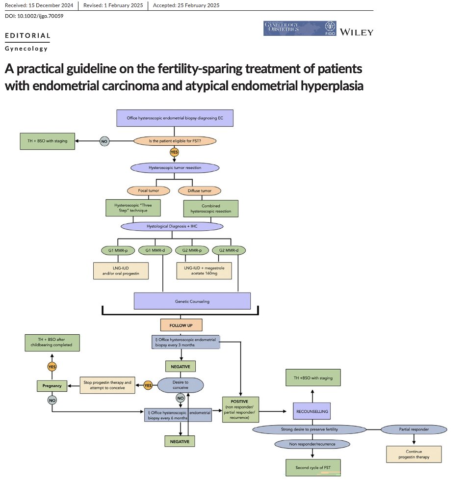 New #FertilitySparing guideline for #EndometrialCancer &amp; atypical hyperplasia offers a clear step-by-step protocol—diagnosis, surgery &amp; hormonal therapy—to empower women under 42 to preserve fertility. #WomensHealth #Oncology #hysteroscopy