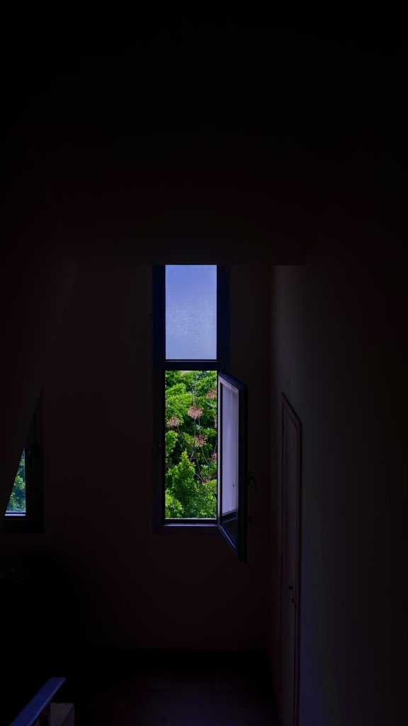 i just took a really cool pic