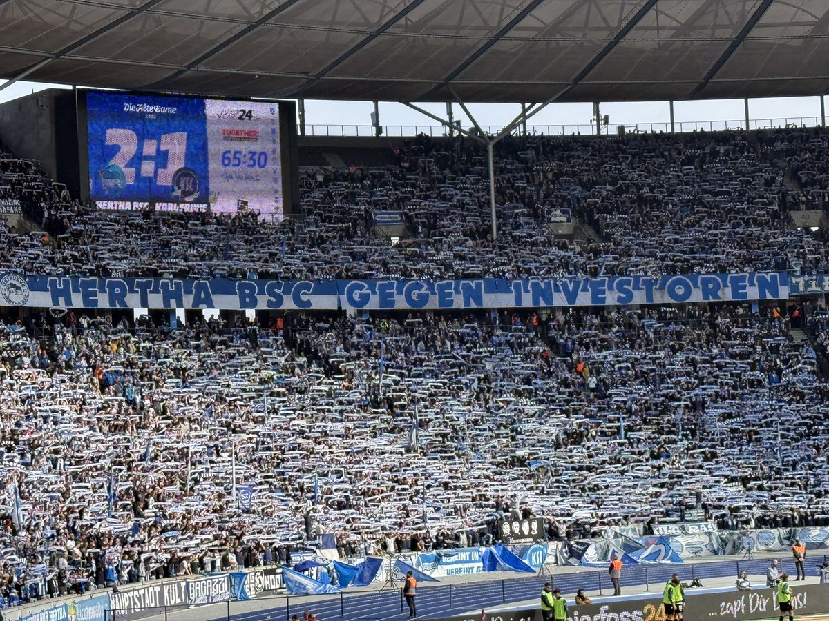 Tim den Hollander tweet media