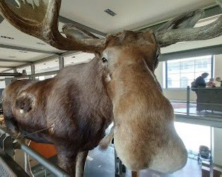 Bro, warum zühsch so a langs Gsicht?