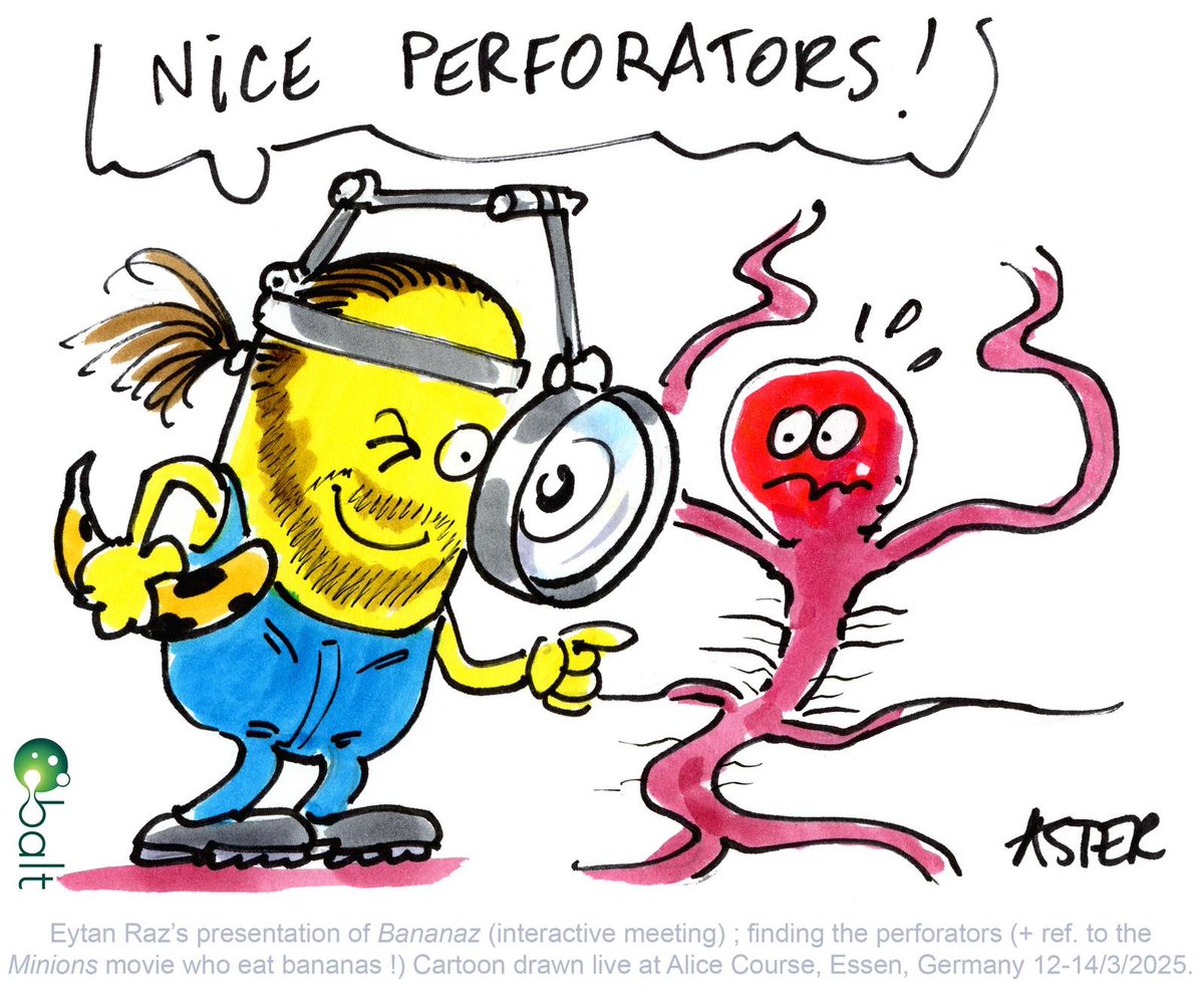 #BANANAz session at #ALICE2025 Aster drawing #1.