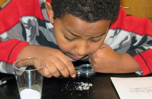 TERCtweets (@terctweets) on Twitter photo The Inquiry Project brings hands-on investigations about weight, volume & materials to grades 3-5—all FREE for educators!
📍 Booth 811 | #NSTASpring25
Free downloads: hubs.la/Q03dkqYm0
#NSTA #InquiryProject #STEMTeaching <a href="/NSTA/">National Science Teaching Association</a> The Inquiry Project brings hands-on investigations about weight, volume & materials to grades 3-5—all FREE for educators!
📍 Booth 811 | #NSTASpring25
Free downloads: hubs.la/Q03dkqYm0
#NSTA #InquiryProject #STEMTeaching <a href="/NSTA/">National Science Teaching Association</a>