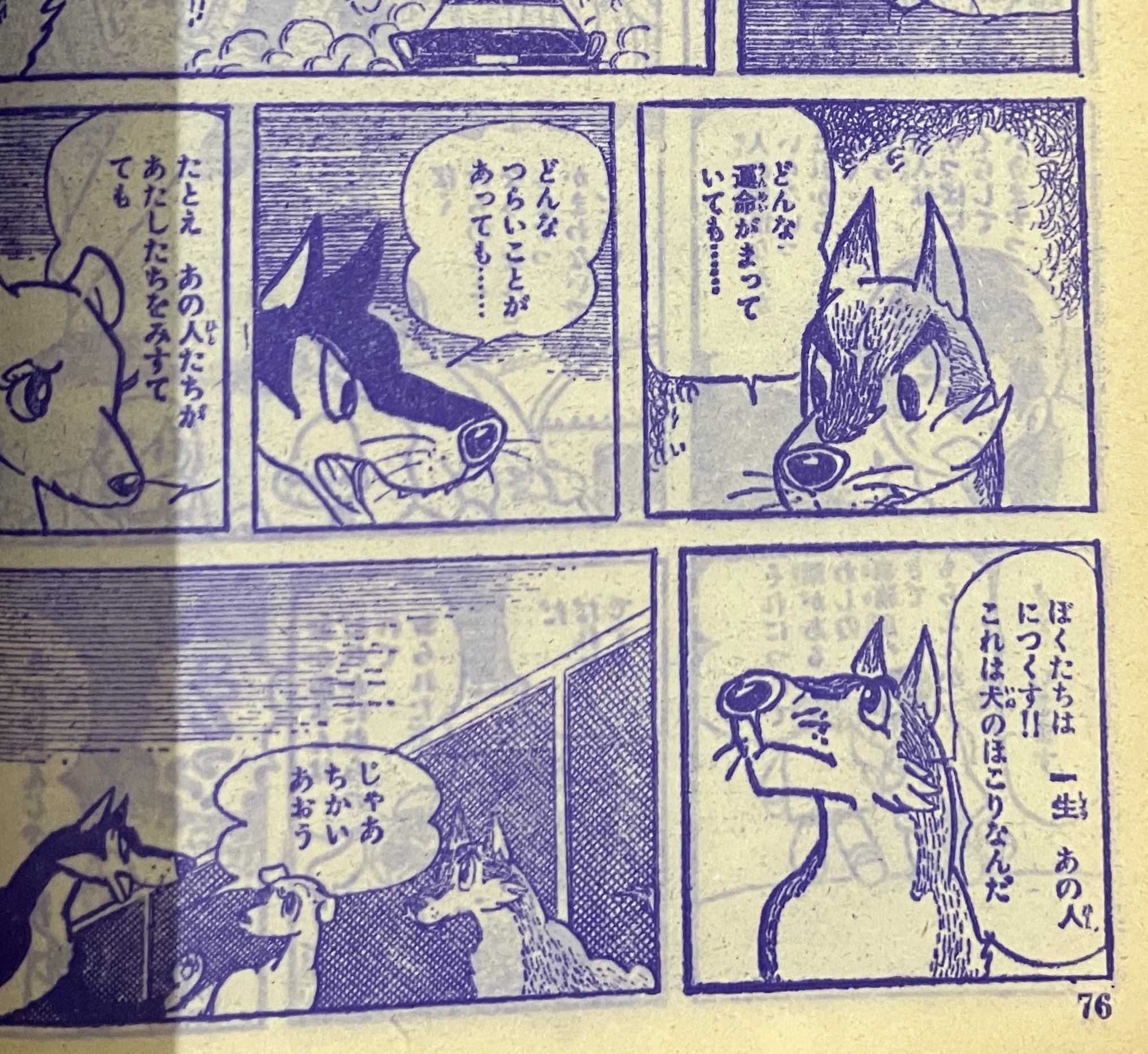 鈴木昭彦 on X: 鈴木昭彦 on X: