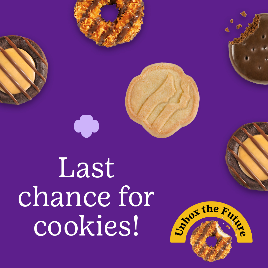 Girl Scouts of SNE tweet media