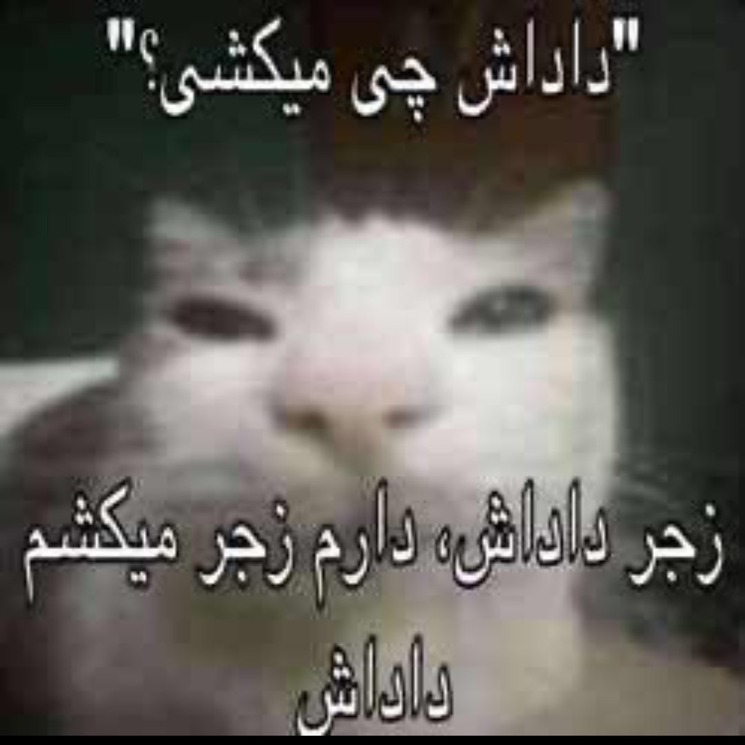 کنکور فشاریم نکرده فشار توم کرده