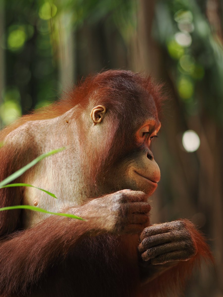 นก หิน น้ำ ลิง
#LOrealGlycolicxTayNew