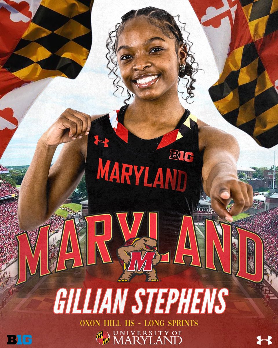 Gillian Stephens tweet media