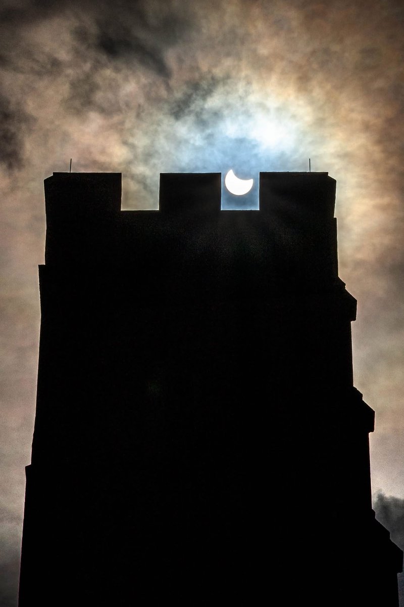 Dr Peach's Stone Temple Gardening. tweet media