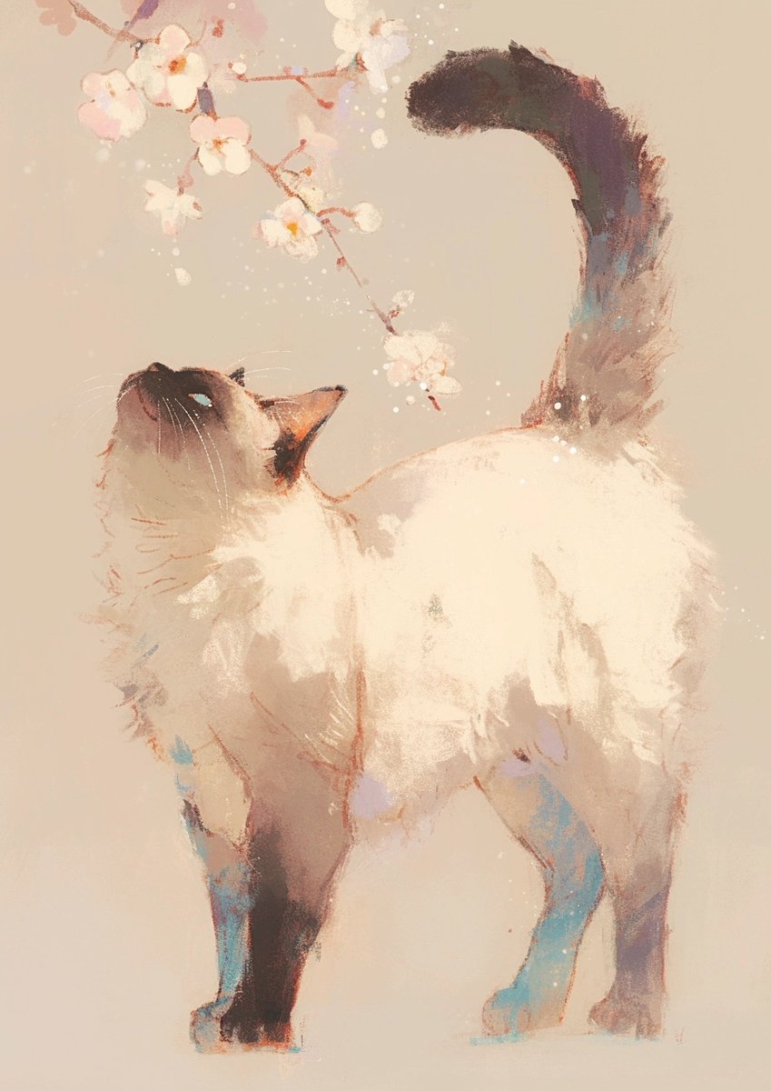 モモ (@momowaaai) on Twitter photo 