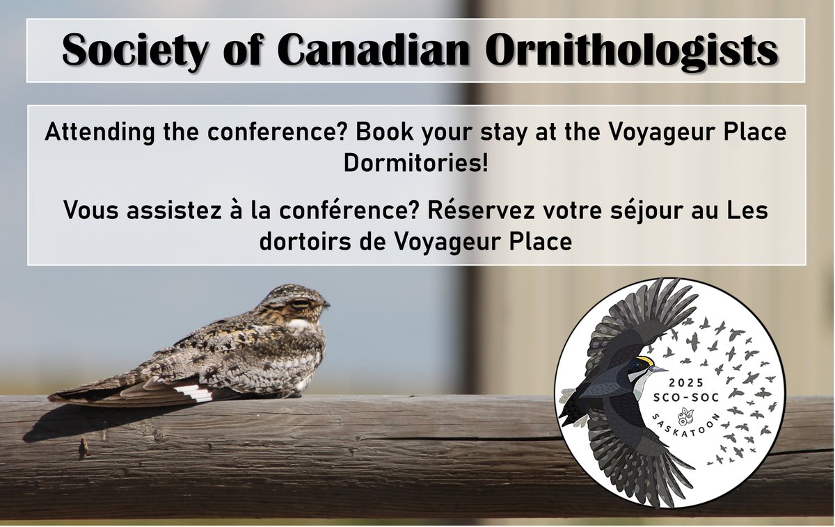 SCO-SOC_2025_Saskatoon tweet media