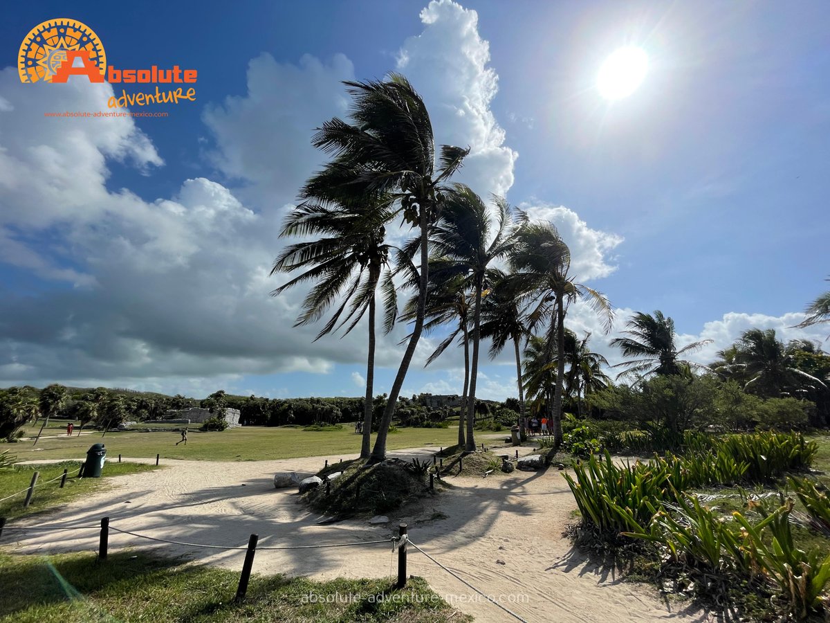 Absadvmex's tweet photo. Explore the Tulum Ruins on a private tour! 🌿 Avoid crowds, enjoy personalized insights &amp; soak in stunning Caribbean views. History &amp; nature in one epic trip! Book now! ⏳✨ #Tulum #MayanRuins 
https://t.co/TAo1XbWWHF https://t.co/4itDcNQPsS