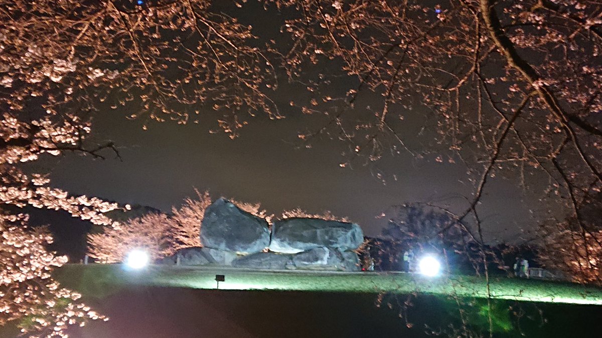 石舞台古墳  春のライトアップ 2025
が始まりました。

3/29(土)～4/6(日) 18時点灯、20時30分最終入場 です。29日の時点で八分咲きというところ。
春の夜の飛鳥をお楽しみ下さい！