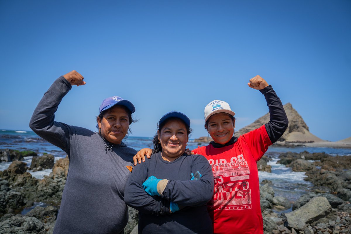 Jenny lleva más de 30 años como recolectora de algas en la región de Ica, el Perú 🇵🇪.

Su historia es un testimonio de resiliencia y una lucha constante por una mayor representación femenina en la industria pesquera.

Te invitamos a conocerla: go.undp.org/36y