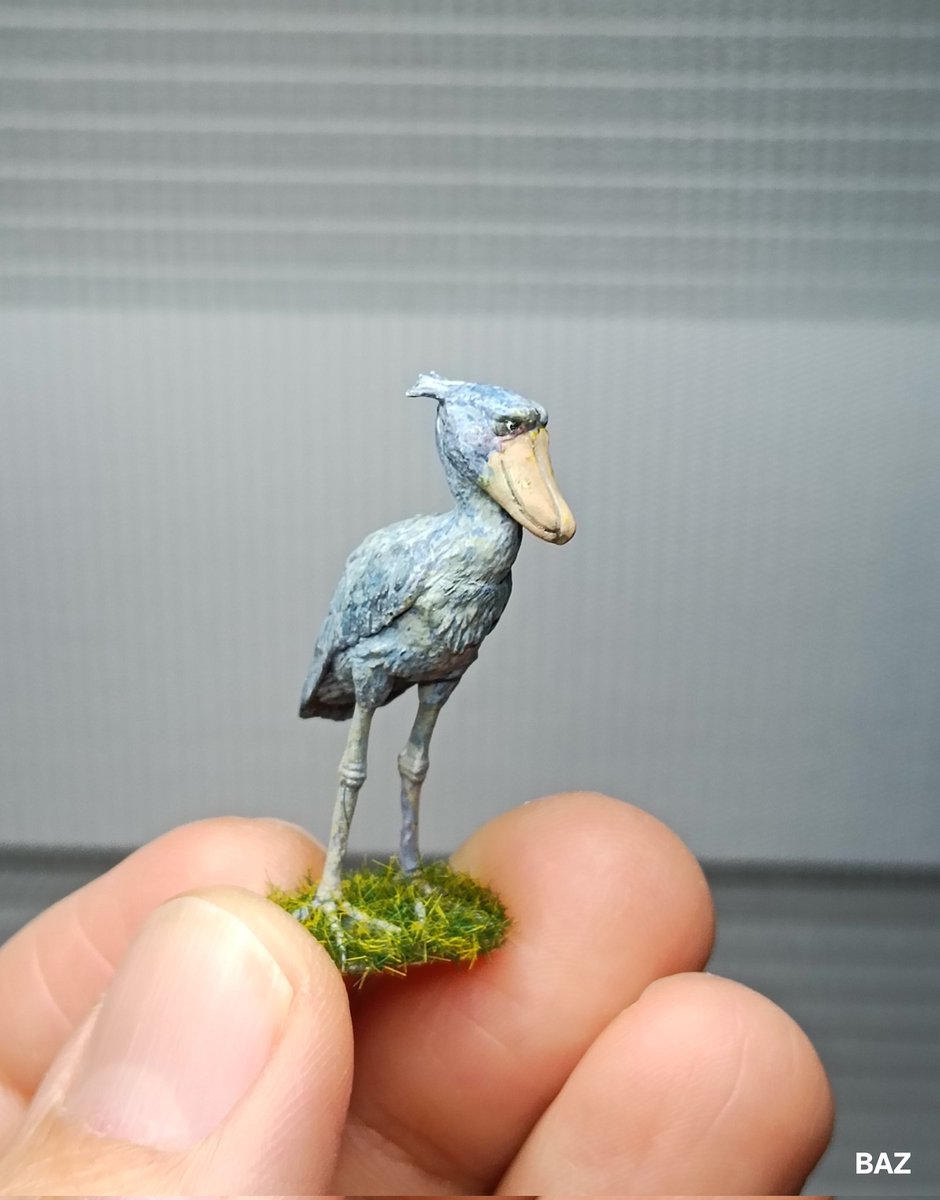 bbaazz0226's tweet photo. 1/35  鯨頭鸛 Balaeniceps rex 

套件：海洋堂
#鯨頭鸛
#Balaeniceps_rex 
#海洋堂
#KAIYODO https://t.co/2TWbXOG7cv