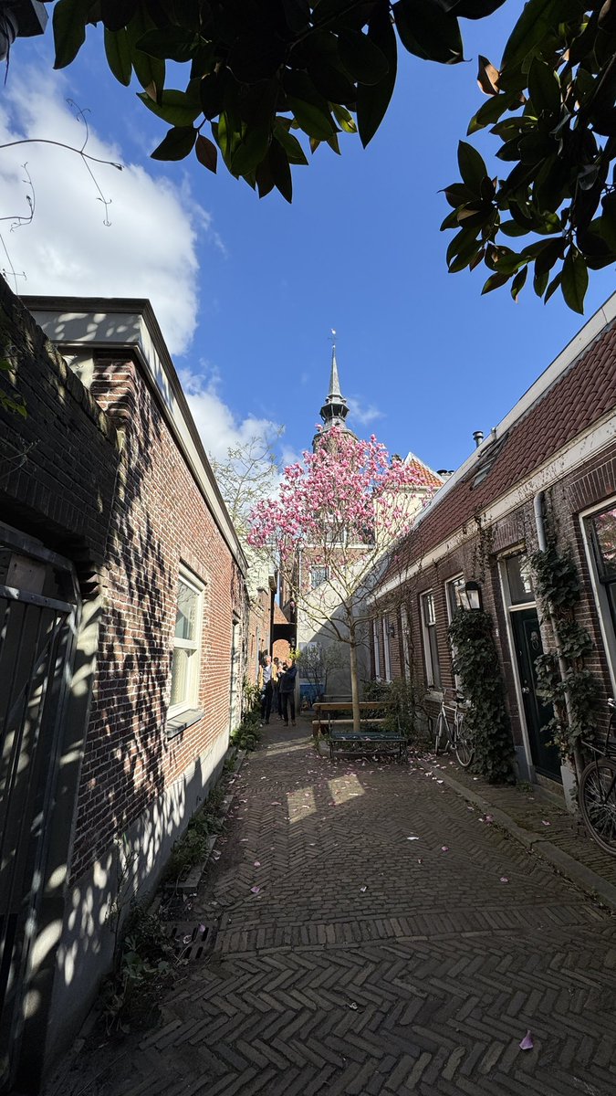 Verborgen pareltjes in de stad. Heerlijk om lekker te slenteren #utrecht #levensboom #daklozen #catharijneconvent
