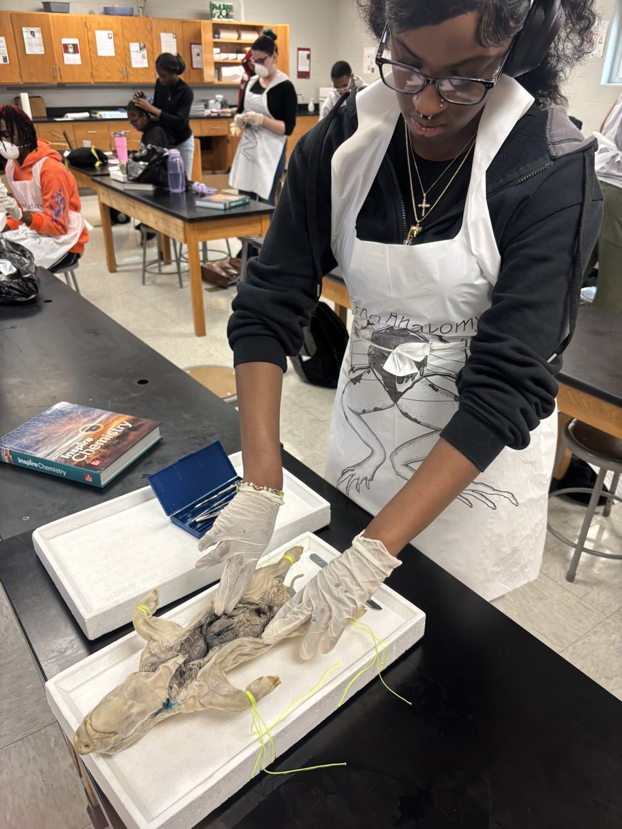 KCPS_CentralHS's tweet photo. So much learning happening at Central! ✨ Students in Mr. O’Toole’s Anatomy & Physiology class took a deep dive into the human body with a fetal pig dissection lab. Hands-on learning at its best! #LearningInAction #CentralHigh https://t.co/4aFlYrnORQ