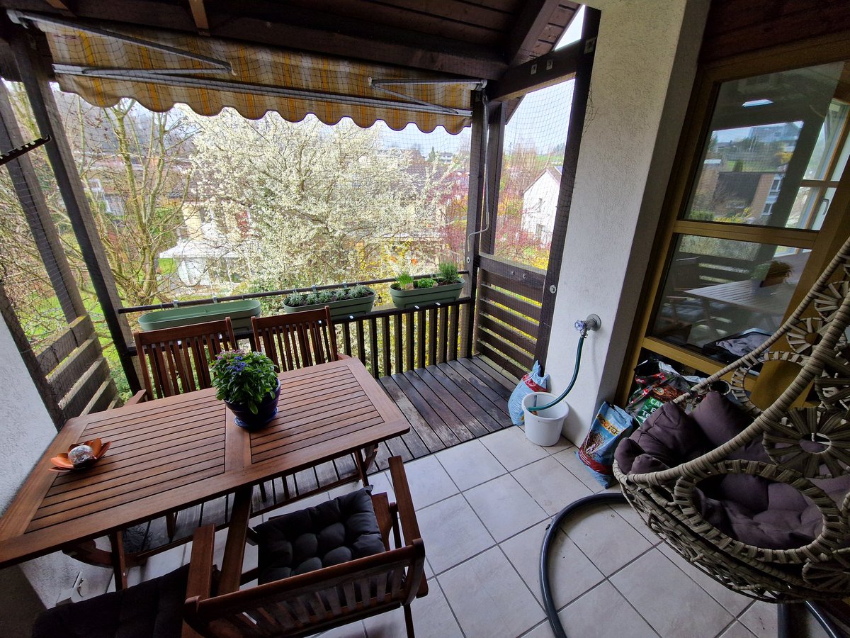 We got some plants and the balcony is starting to take shape 💙  lots of herbs so we can use them when cooking :3 <a href="/Arcais_Panda/">✧Arcais ✧ 🔜 CFZ</a>