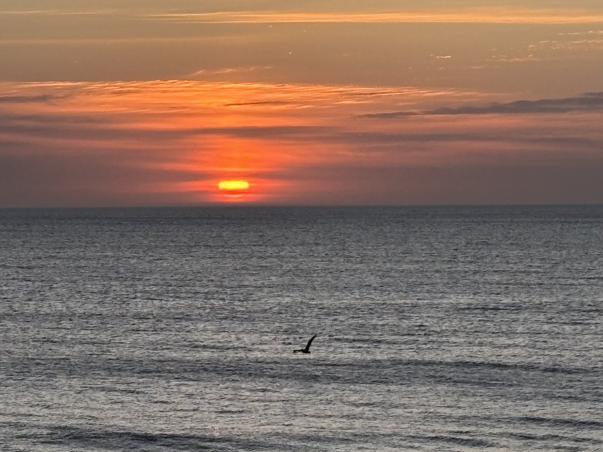 John Bowers tweet media