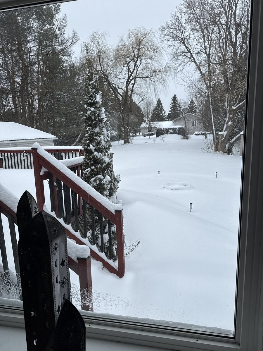 Spring where are you?! 😩