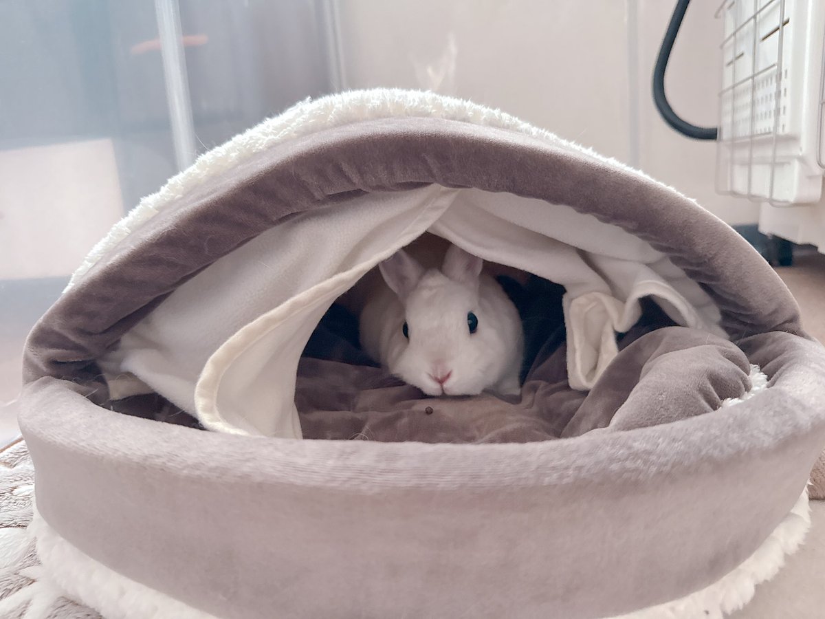 餅ママ🐇 tweet media