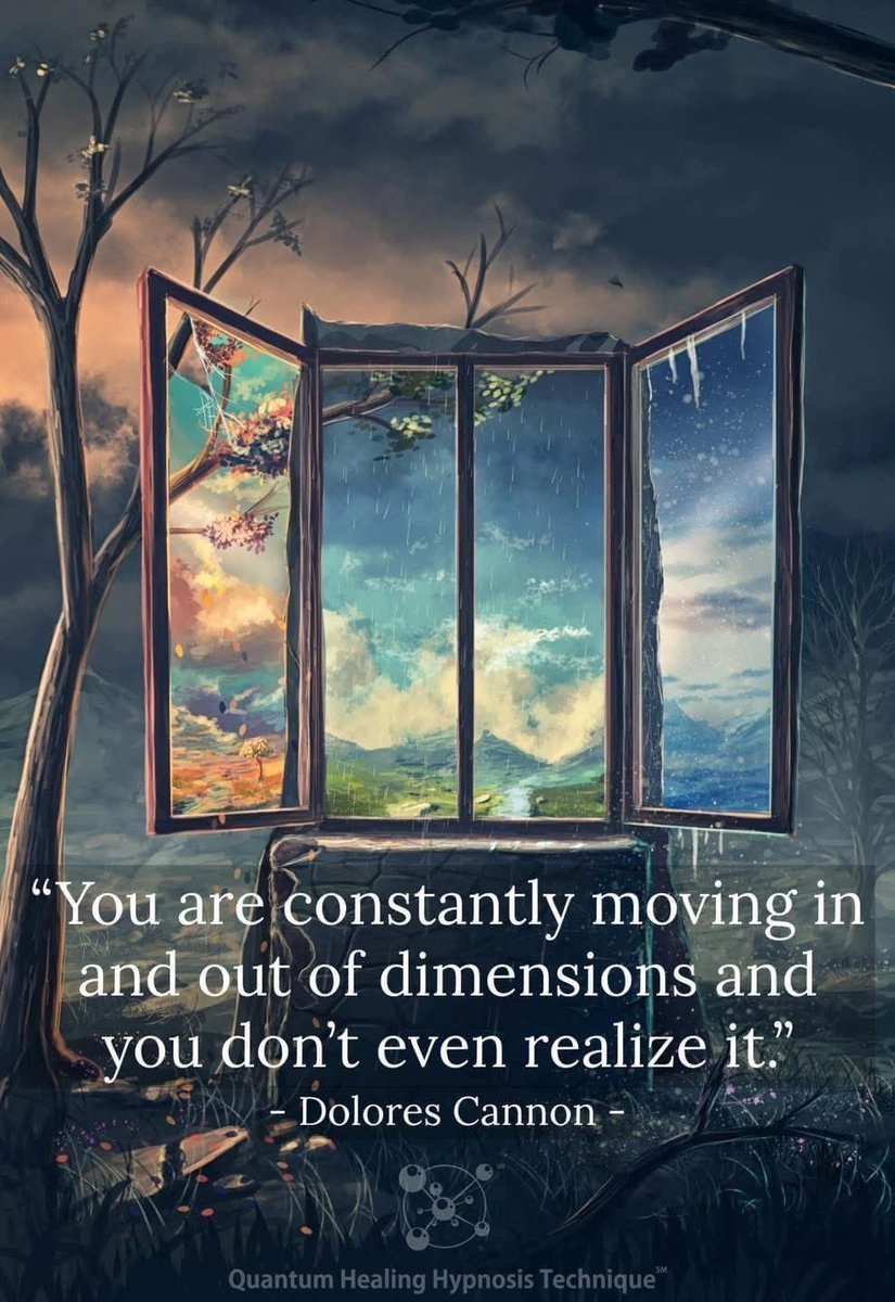 EdmondHWollmann's tweet image. #Dimensions