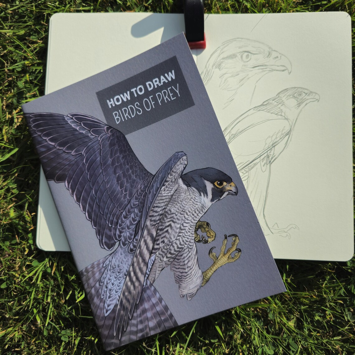 My how to draw book on birds of prey is now available as a digital download! Big thank you to my patreons who support me and helping me make this book a reality! 

crowartist.co.uk/shop/p/how-to-…