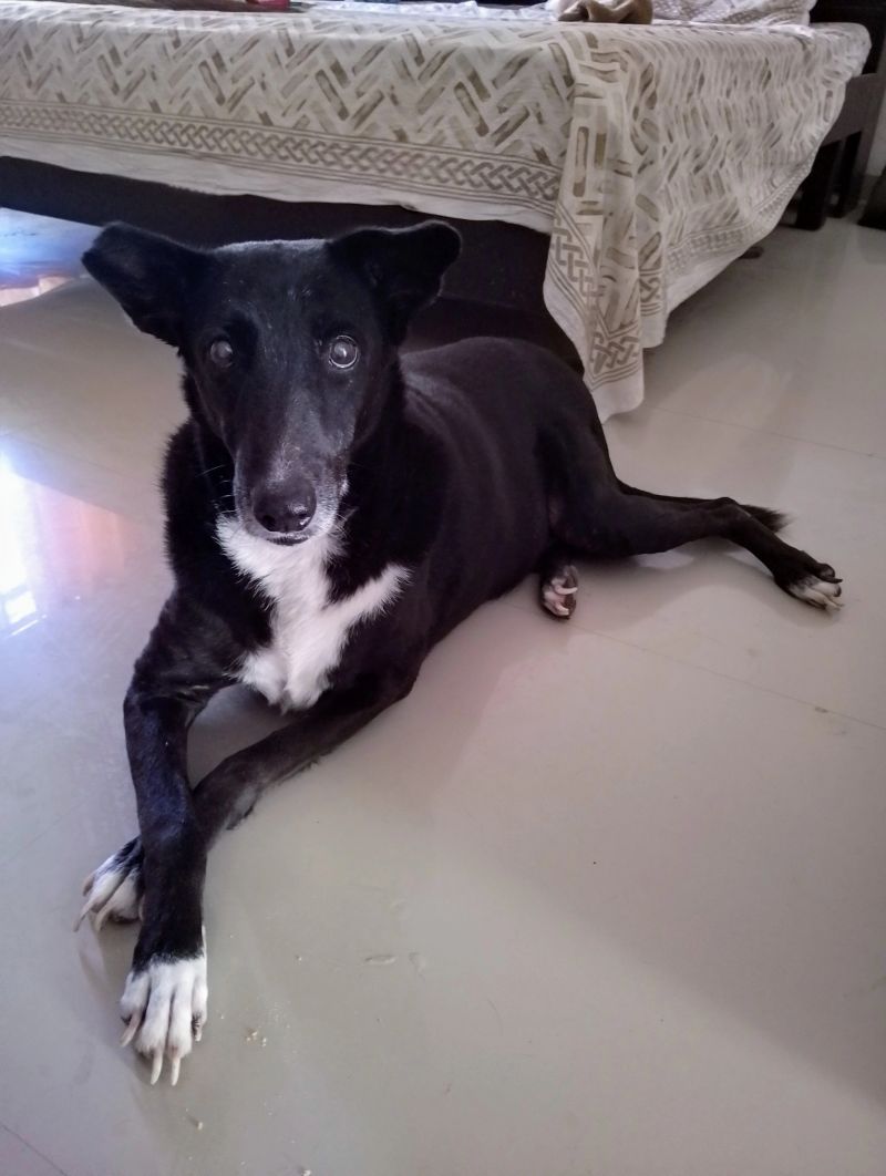 Bridging Rainbows Foundation tweet media