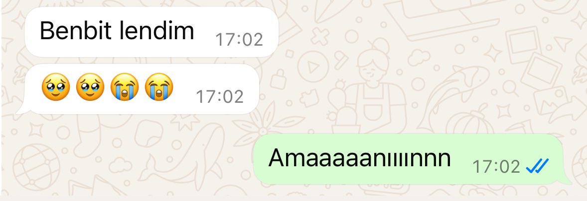 No body
Kız kardesim (6) : Benbit lendim 🥹🥹😭😭 (caresizlik)