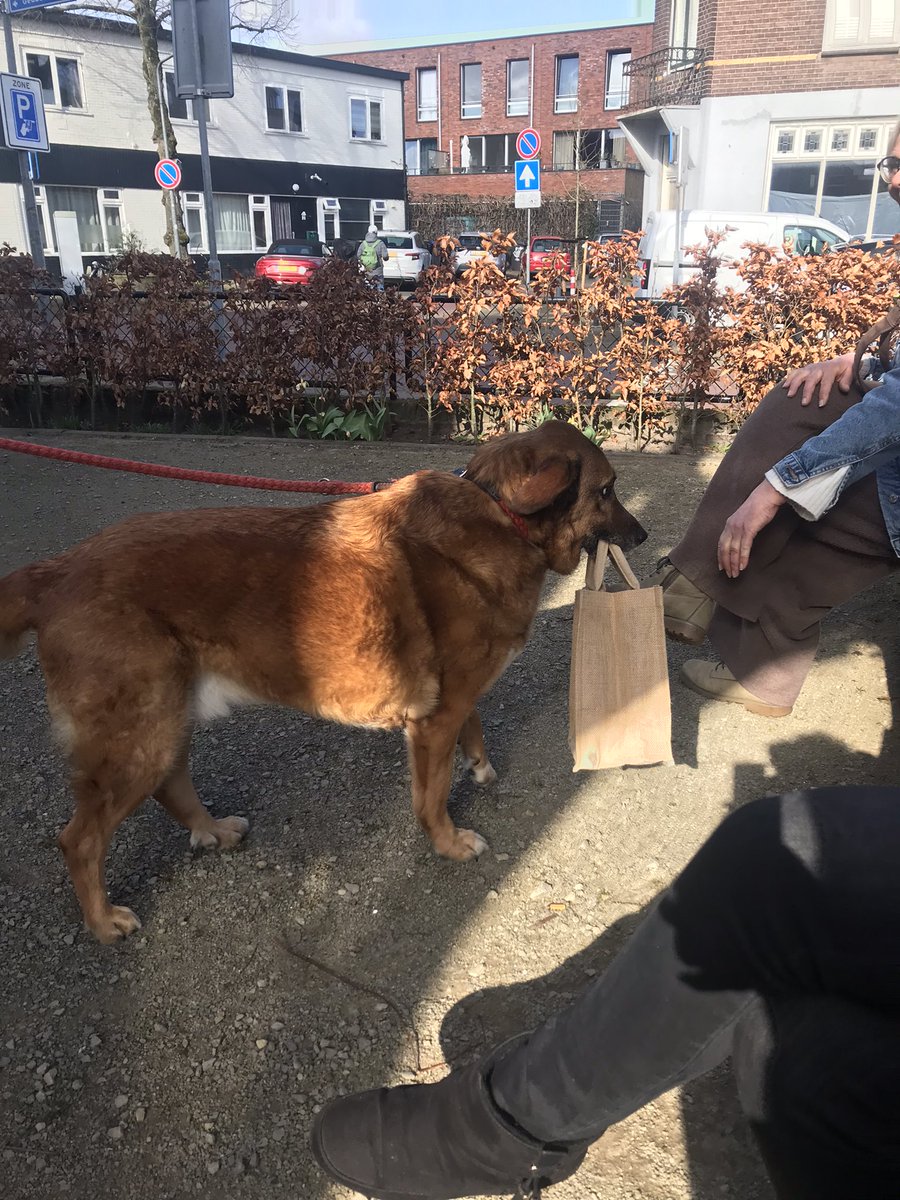 Wijkcentrum De Geus (@degeushsum) on Twitter photo Vandaag komt deze superschat ons gedag zeggen. Hij draagt het tasje voor zijn mama 😍 Vandaag komt deze superschat ons gedag zeggen. Hij draagt het tasje voor zijn mama 😍
