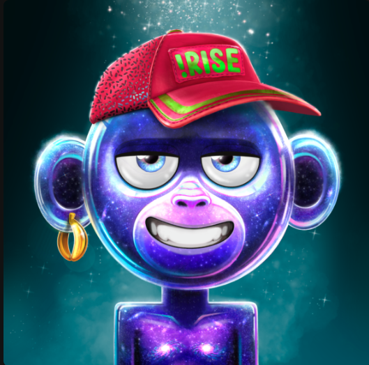 nikitottti's tweet image. Holy sats, my OCM Karma pieces are about to drop into my Bitcoin wallet any day now! Burned that mint pass yesterday like a champ—can’t wait to see these bad boys land. They’re hyping it as the priciest BTC inscription effort, and we're here for it! @OnChainMonkey #RISE