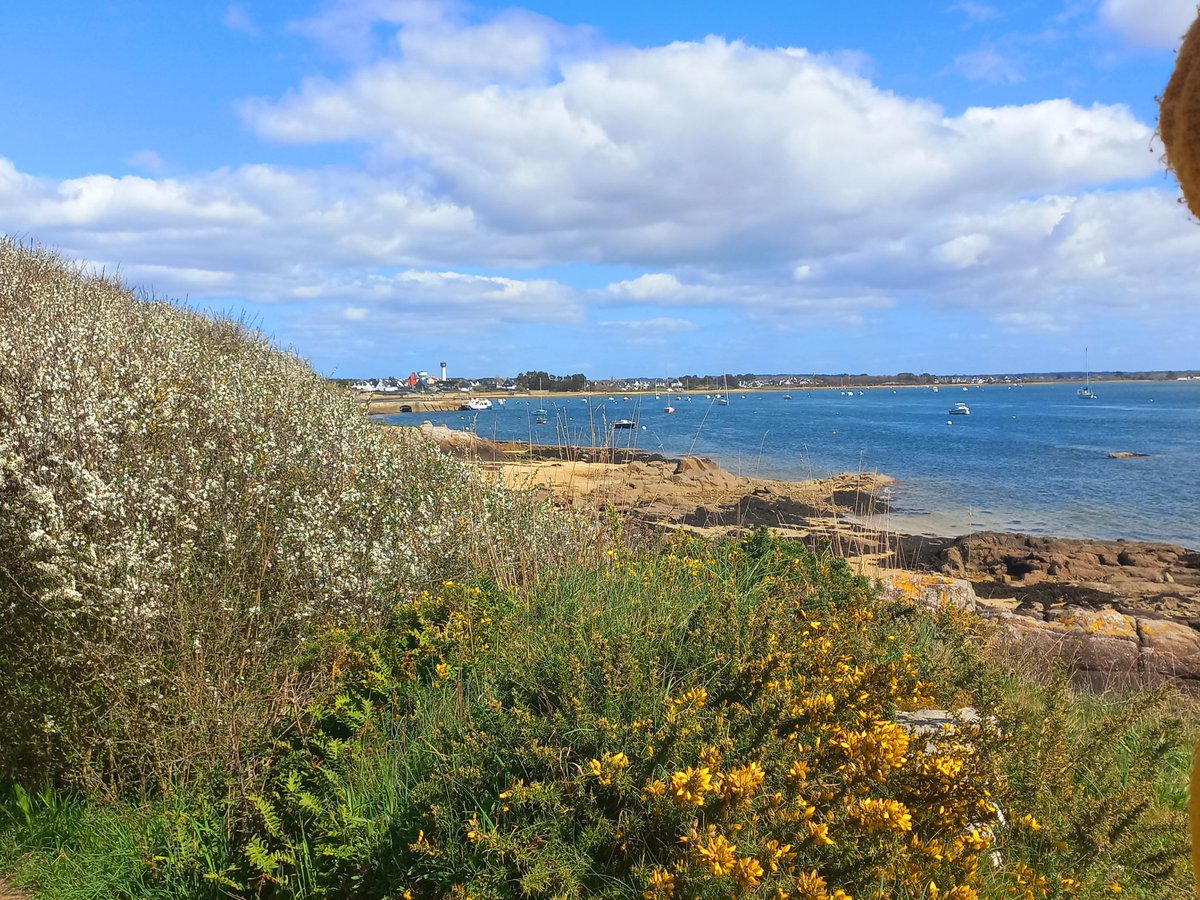 BzhDanar's tweet image. Un après-midi à la côte #printemps #mer #fleurs ⚓️