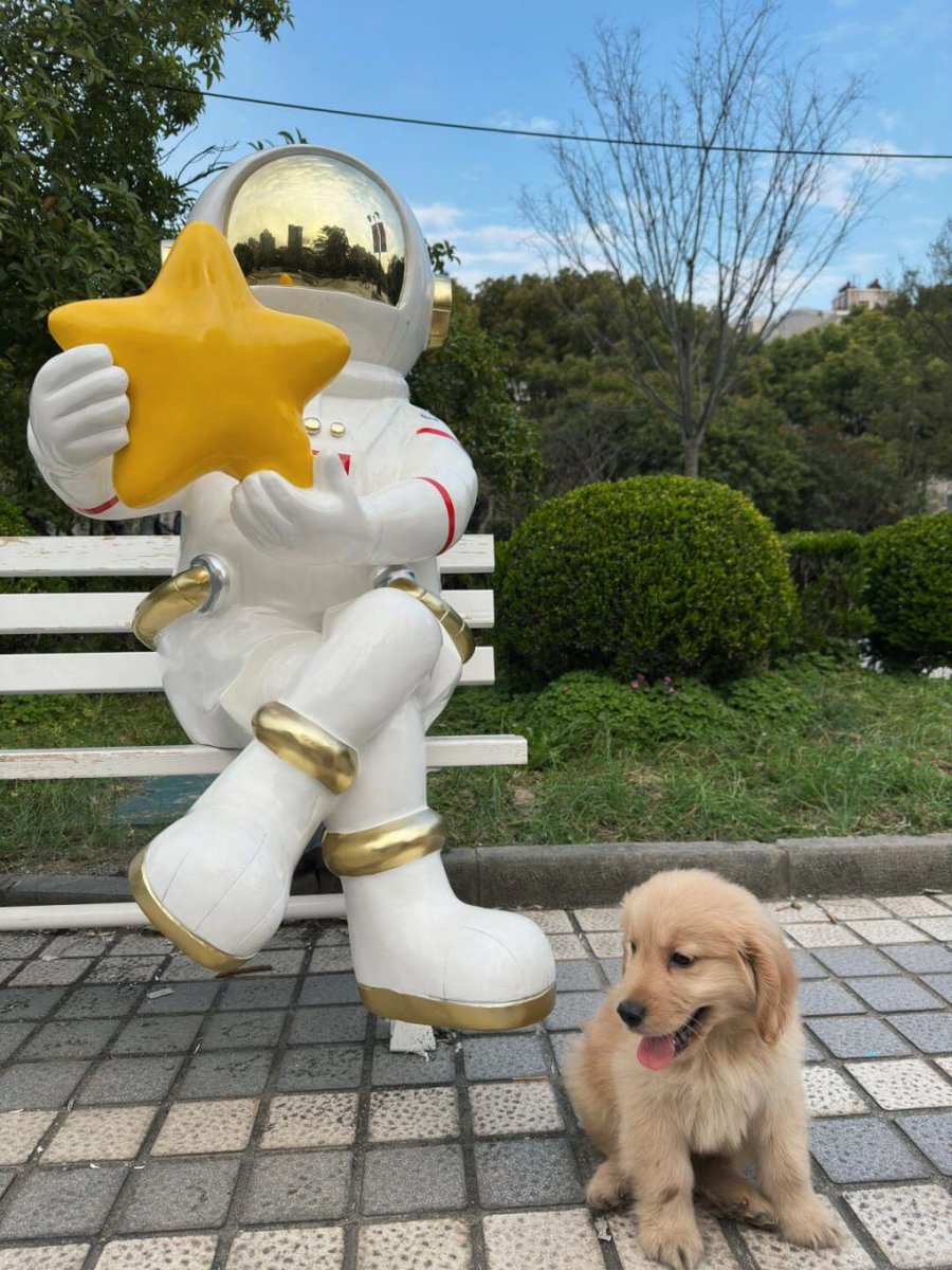 With my a little boy in the Garden🐶
#Walkingthedog