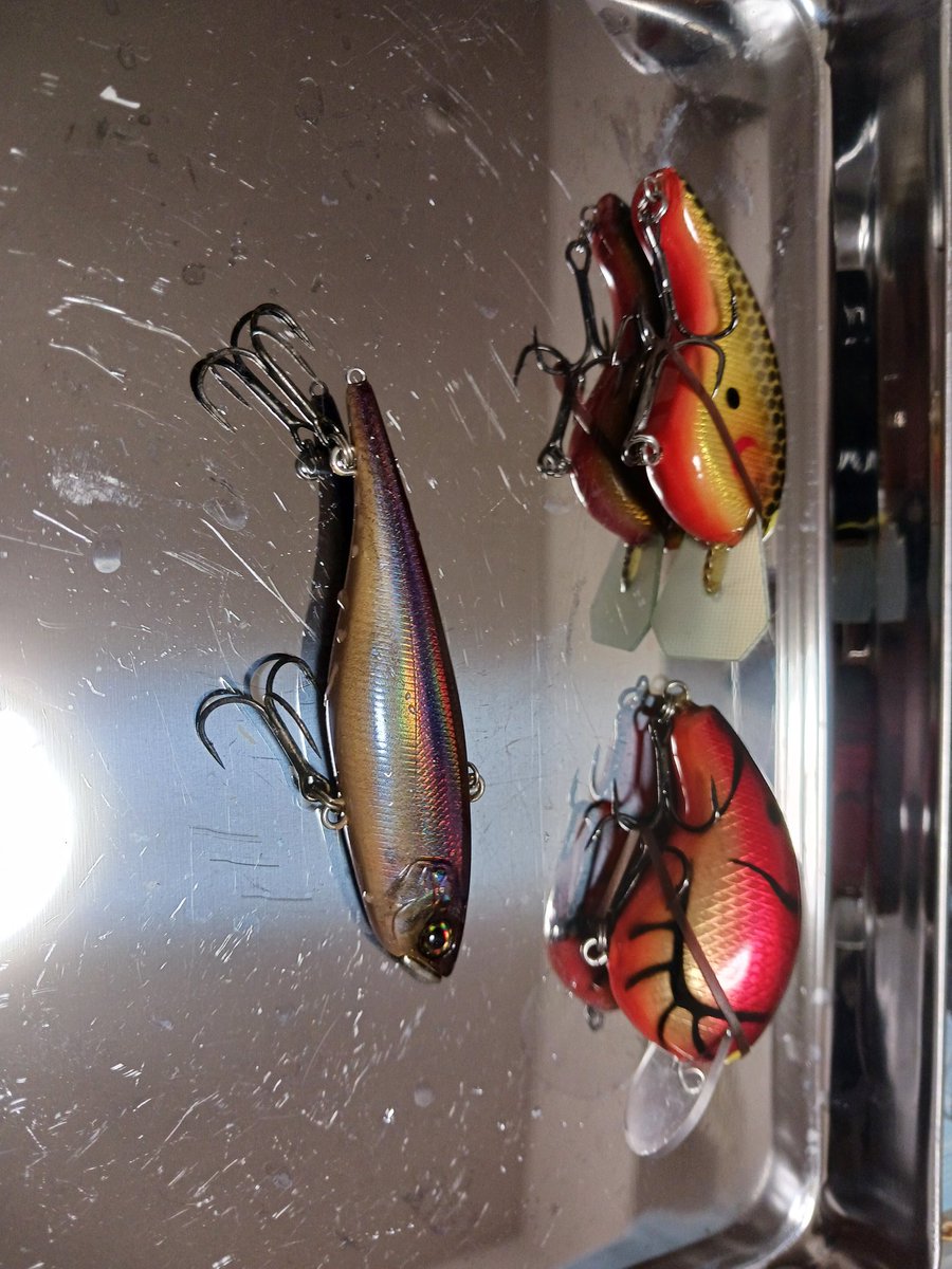 007represent's tweet image. 今日の釣果
#アキマクラフト
#クランクベイト
#ジャッカル
#TNスリム