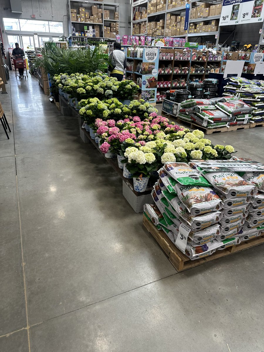 Weaver (@weavkiler) on Twitter photo Spring has sprung at 1188. Stop on by our garden center today. <a href="/DCT0813MD/">Dante Thomas</a> <a href="/Michael26292038/">Michael Zucker</a> <a href="/GallianoScott/">ScottGalliano</a> <a href="/DamonBennettR7/">DBennett</a> <a href="/IamBrianMacek/">Brian Macek</a> <a href="/BlueBoxR1/">@BlueBoxR1</a> Spring has sprung at 1188. Stop on by our garden center today. <a href="/DCT0813MD/">Dante Thomas</a> <a href="/Michael26292038/">Michael Zucker</a> <a href="/GallianoScott/">ScottGalliano</a> <a href="/DamonBennettR7/">DBennett</a> <a href="/IamBrianMacek/">Brian Macek</a> <a href="/BlueBoxR1/">@BlueBoxR1</a>