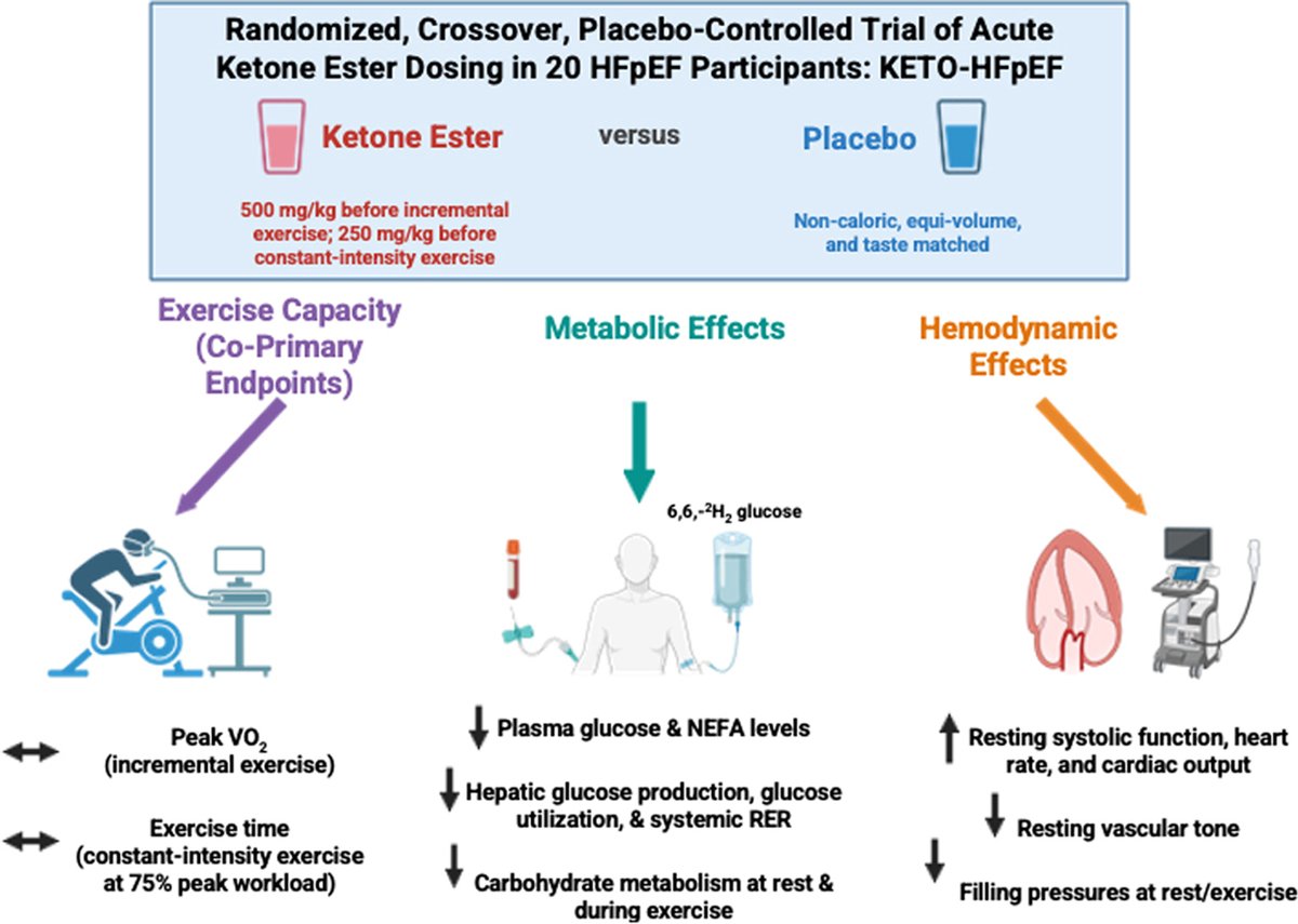 JACC Journals (@jaccjournals) on Twitter photo In KETO-HFpEF, despite robust ketosis, shifting substrate utilization away from carbohydrates, & 📉 estimated LV filling pressures, acute KE supplementation did not improve peak VO2 or constant-intensity exercise in #HFpEF jacc.org/doi/10.1016/j.…
#ACC25 #JACCHF <a href="/senthil_selv/">Senthil Selvaraj, MD, MS, MA</a> In KETO-HFpEF, despite robust ketosis, shifting substrate utilization away from carbohydrates, & 📉 estimated LV filling pressures, acute KE supplementation did not improve peak VO2 or constant-intensity exercise in #HFpEF jacc.org/doi/10.1016/j.…
#ACC25 #JACCHF <a href="/senthil_selv/">Senthil Selvaraj, MD, MS, MA</a>