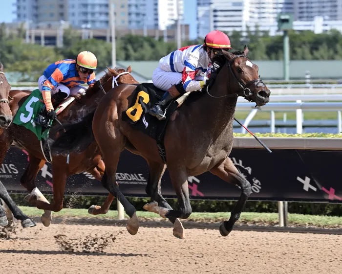 Good luck Jimmy's Dailys &amp; connections in Curlin Florida Derby  race 14 <a href="/GulfstreamPark/">Gulfstream Park</a> 
Owner &amp; breeder Donald R Dizney Llc, trainer <a href="/BLynchRacing/">Brian Lynch Racing 🦘</a>  &amp; <a href="/JRosarioJockey/">Joel Rosario</a> <a href="/Garrett9Smith/">The BIG G</a> 
Vekoma / Mama Joyce ( #FirstDude)
#DudeitforJimmy 
Photo Coglianese