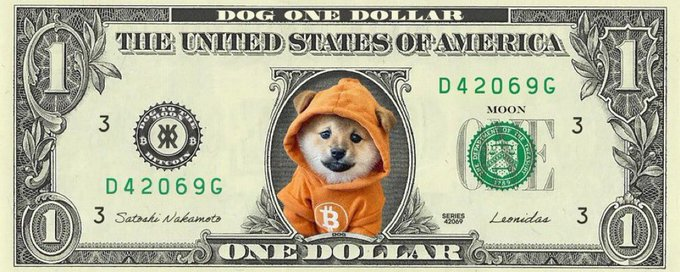 N1ckBartholomew's tweet photo. $DOG to $1 🚀🚀🚀 Repost if you agree 👀 https://t.co/nhwQK3mvrO