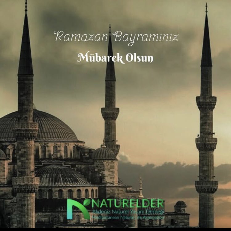 naturelder's tweet photo. https://t.co/b4W7vYn1f4