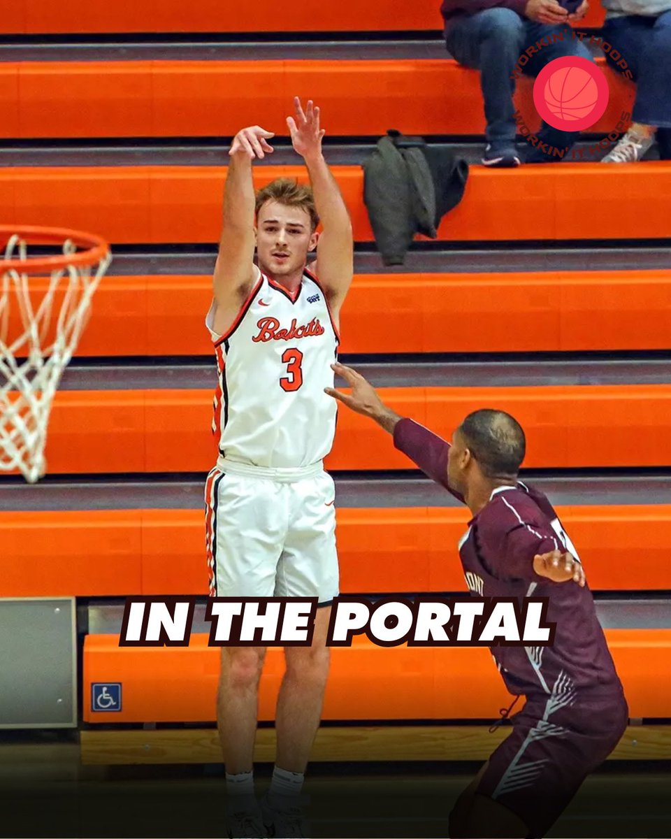 workinithoops's tweet image. 6'2 JR G Michael Batchelor is one of the ELITE SHOOTERS currently in the PORTAL!! He had a great season at D2 West Virginia Wesleyan, averaging:

• 13.1 PPG
• 37.6% 3PT (7.0 3PA/G!!)

Including 16 PTS on 6/10 shooting vs. D1 Marshall in December. Batchelor is an impressive…