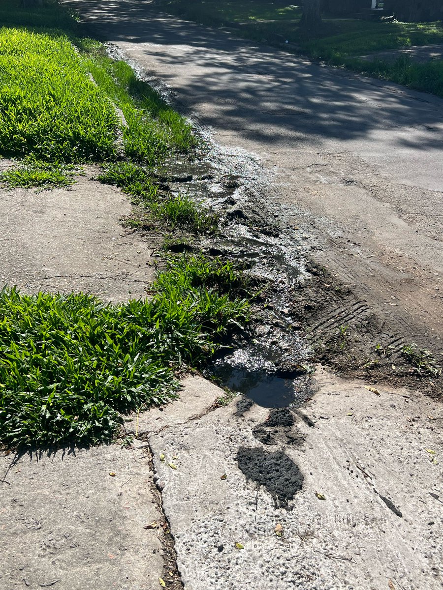 Nos vinimos a visitar a Rodrigo y Lourdes en el Paso de la Arena, poca iluminación, falta de frecuencia de ómnibus, mal drenaje que afectan directamente al barrio.