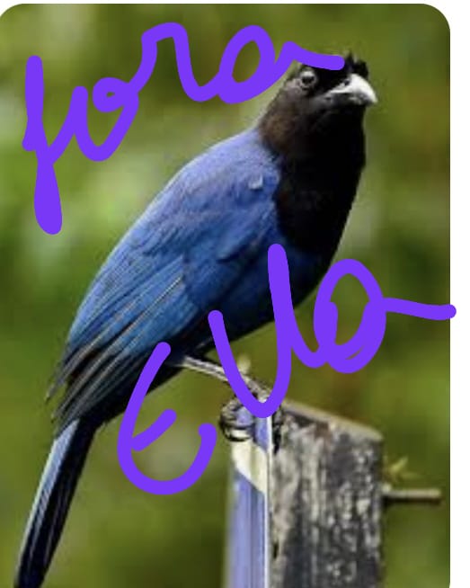 <a href="/viniciusnasofc/">Vinícius Nascimento</a> <a href="/tinamartinssilv/">Tina Martins ADM RUFUS🩴🏹🕺🏾☀️🐎❤️‍🔥⚖️🌵</a>