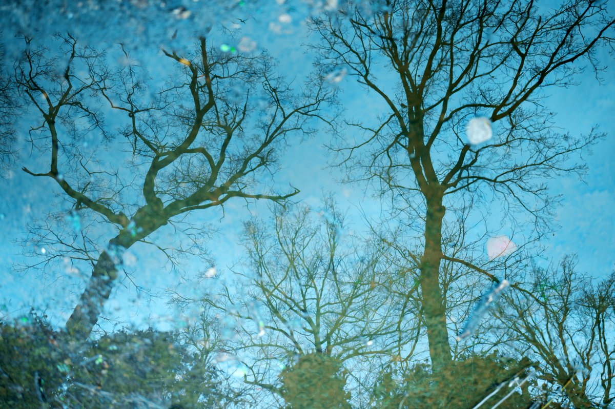 -Once upon a time #1 - primavera, il tempo delle favole.
#sommarivadelbosco con #sogmafpl e #sigma28mmart <a href="/Sigma_Japan/">SIGMA Japan</a> <a href="/foto_sigma/">SIGMA Italia</a> <a href="/SigmaFrance/">Sigma France</a> <a href="/Sigma_Photo/">SIGMA America</a> <a href="/SIGMA_foto/">SIGMA (Deutschland)</a> <a href="/Sigma_India/">SIGMA India</a>