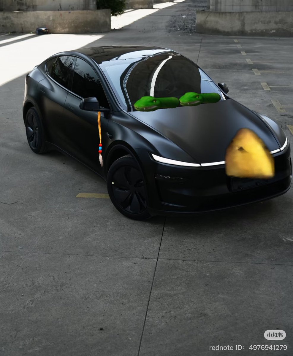 <a href="/niccruzpatane/">Nic Cruz Patane</a> I didn't know <a href="/elonmusk/">Elon Musk</a> was a big xavier renegade angel fan. These accessories are pretty frittata.