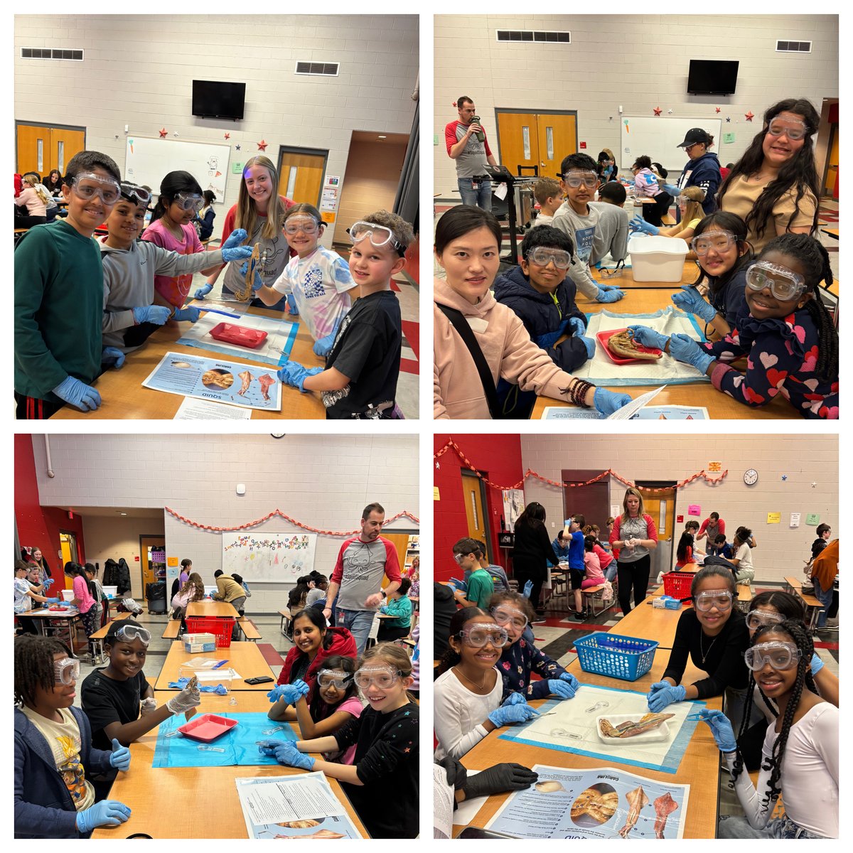 Our 4th graders had an amazing time dissecting squid! They got a close-up look at both the external and internal structures, making for a truly hands-on learning experience. #ScienceInAction #HandsOnLearning #GrandChamps #ParklandPride