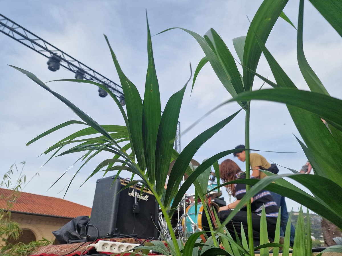 Proviseur CARNOT CANNES tweet media