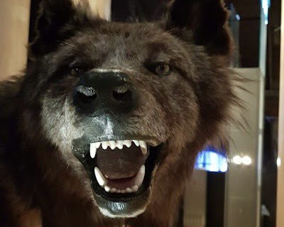 Oh mine Freundin wenn se Hunger hot