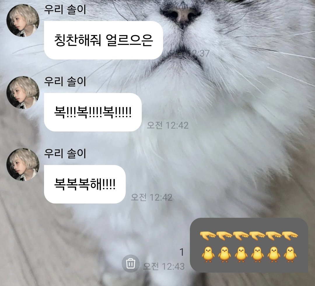 행얄 tweet media