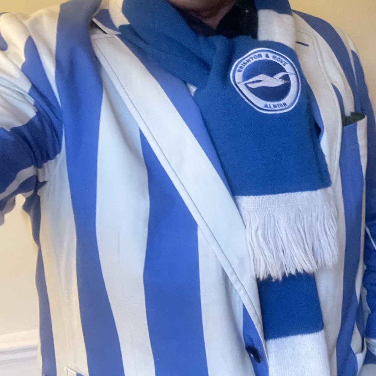 SeagullRichard's tweet image. Quarter Final day. Enough Seagull stuff? Maybe I need another scarf.