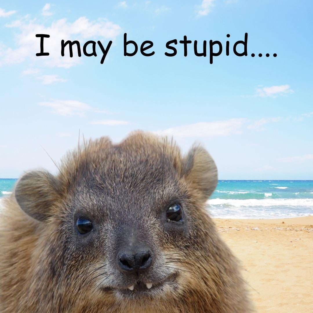 Saider71's tweet image. #SchlieferSamstag
#AWAWA