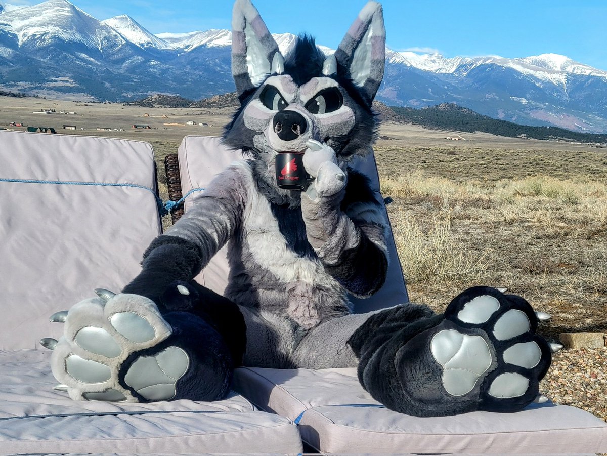 Gmorning... time for coffee (and paws?)